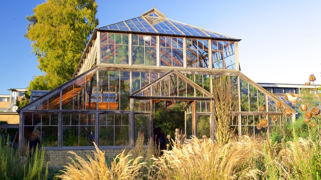 University Botanic Gardens featuring a park