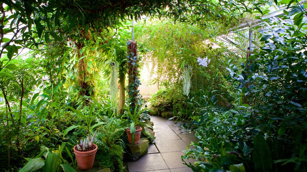 University Botanic Gardens showing a park