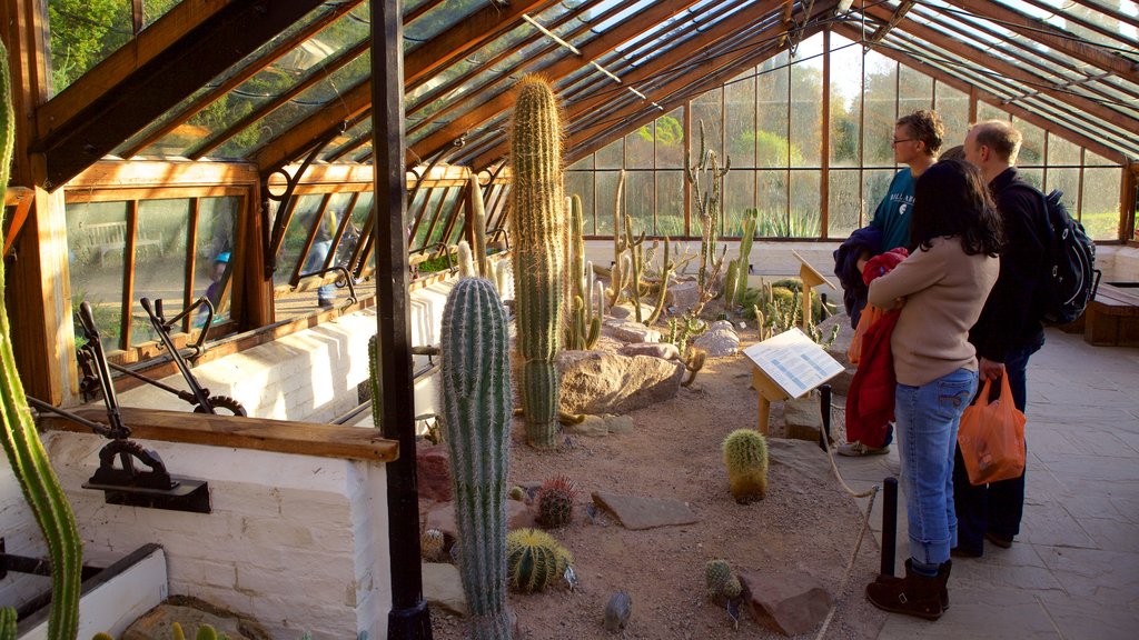 University Botanic Gardens ofreciendo un parque y también un pequeño grupo de personas