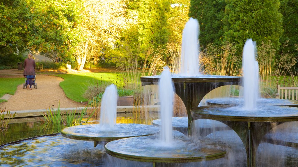 University Botanic Gardens que inclui uma fonte e um jardim