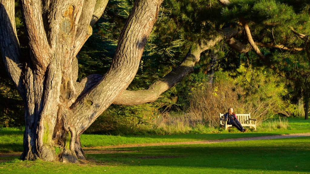 University Botanic Gardens mettant en vedette un parc