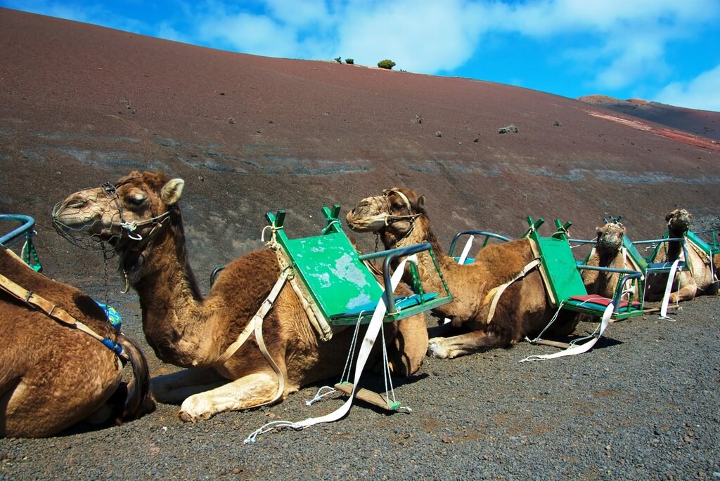Lanzarote.jpg