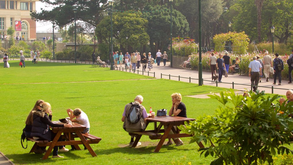 Jardins de Bournemouth mettant en vedette randonnée ou marche et un parc aussi bien que un petit groupe de personnes