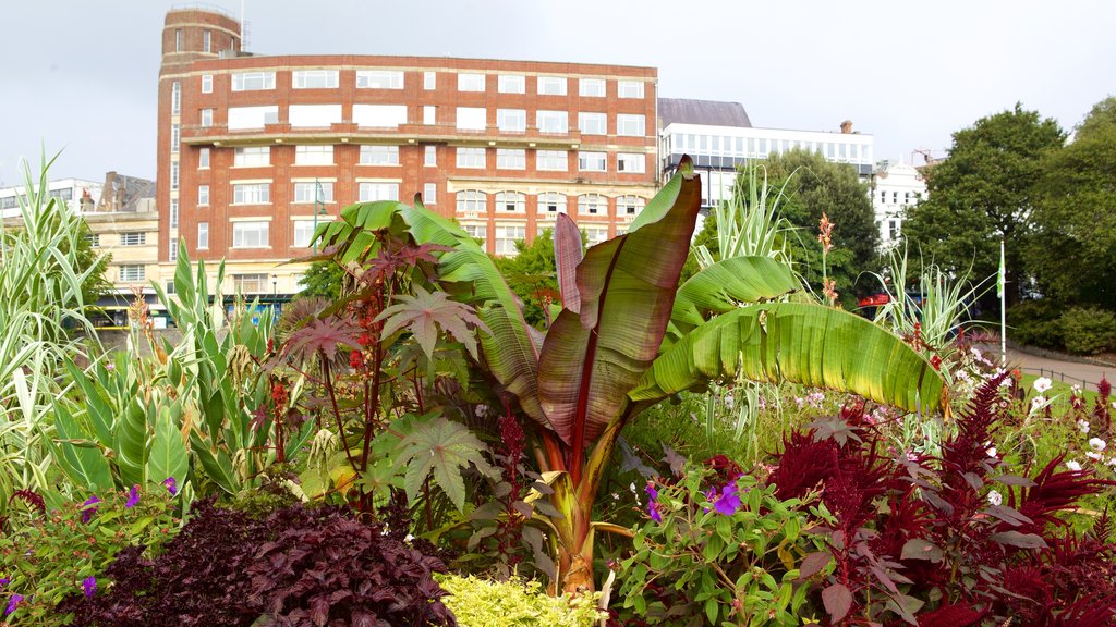 Bournemouth Lower Gardens showing a garden