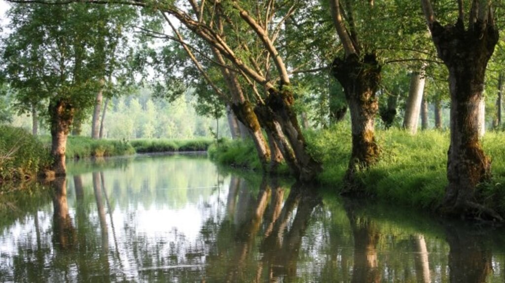 marais_poitvein.jpg
