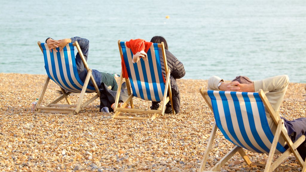 Brighton Beach showing a pebble beach