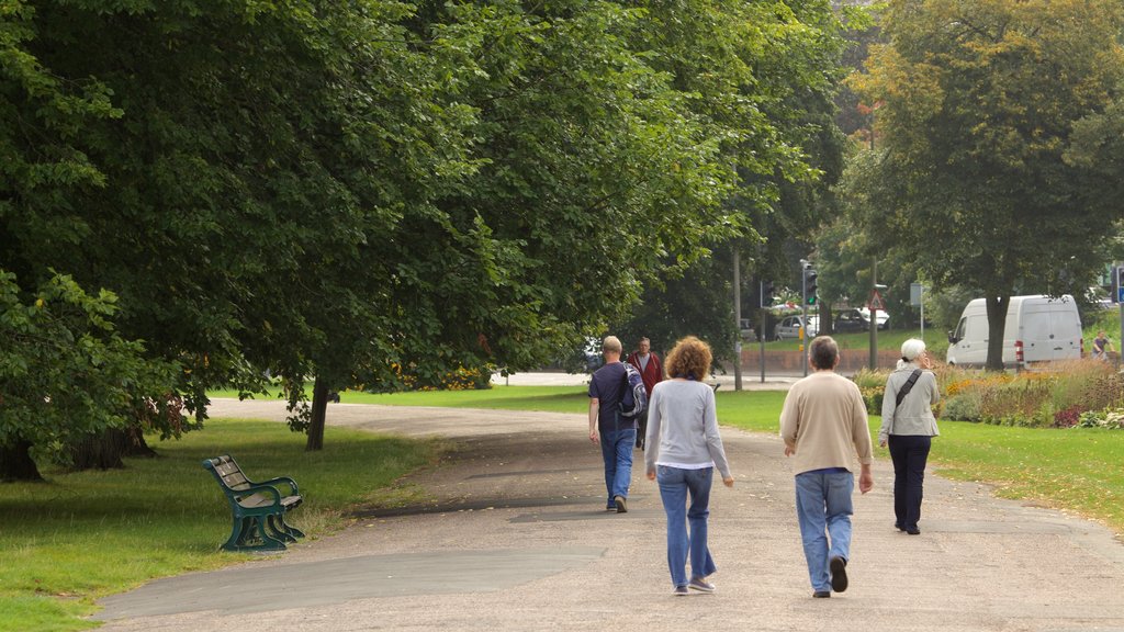 Preston Park showing a park as well as a small group of people