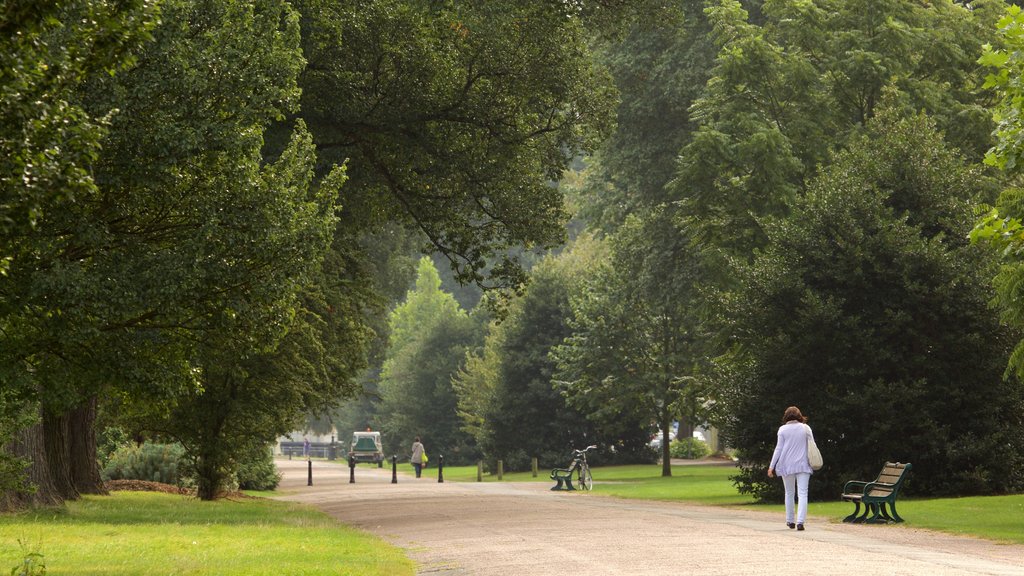 Preston Park que incluye un parque y también una mujer