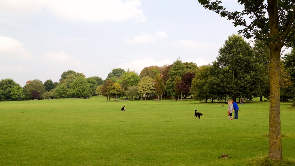 Preston Park showing a park