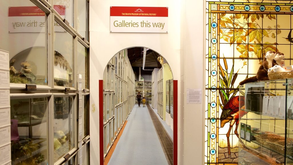 Natuurhistorisch museum Booth