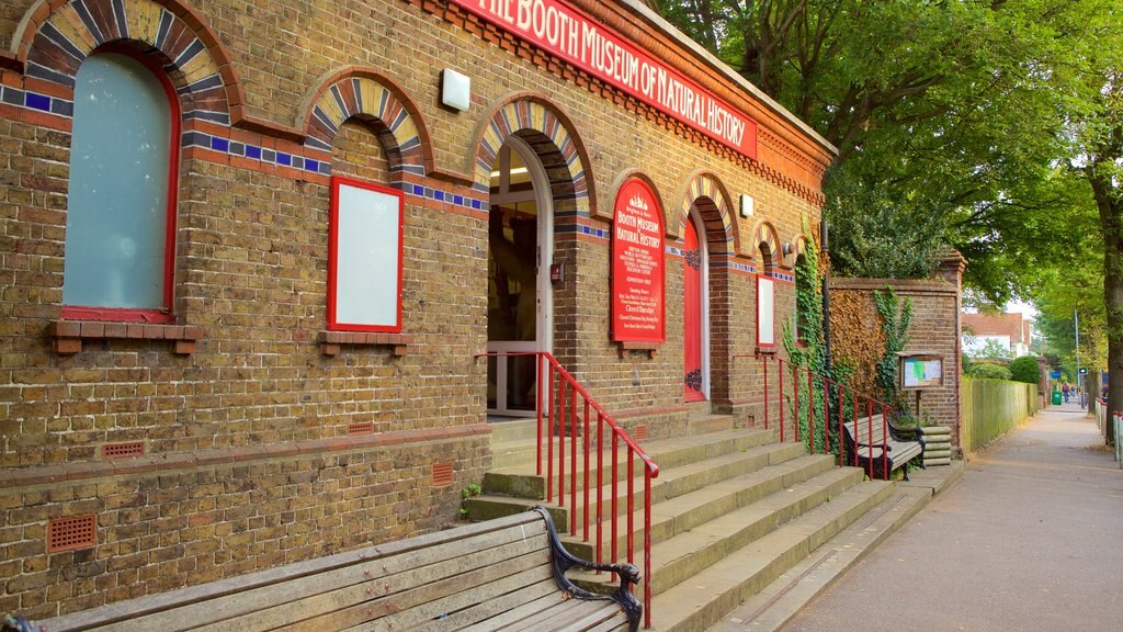 Natuurhistorisch museum Booth