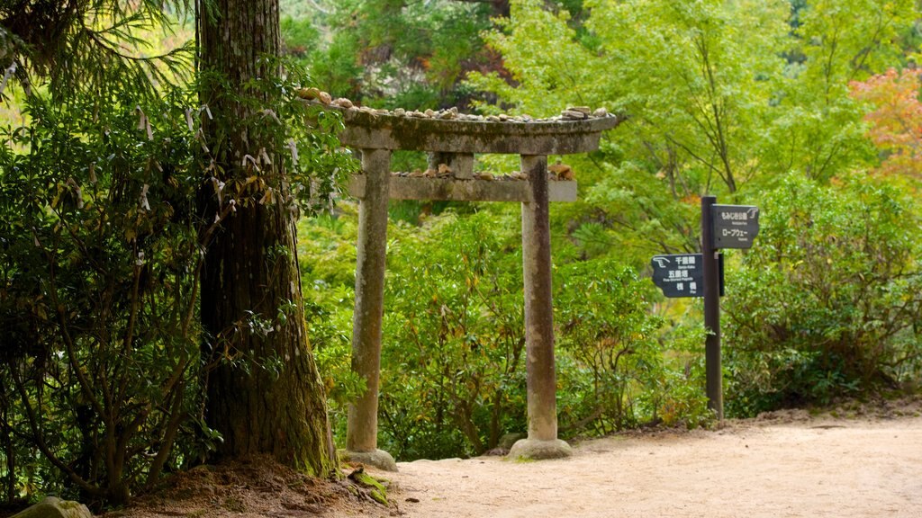 Momijidani Park showing a garden