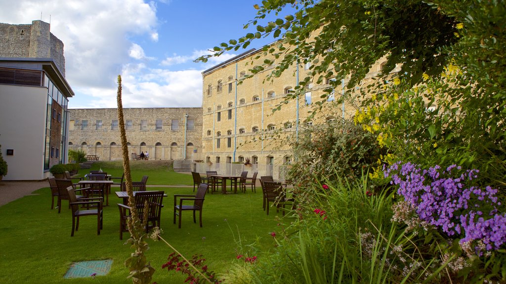 Oxford featuring a garden