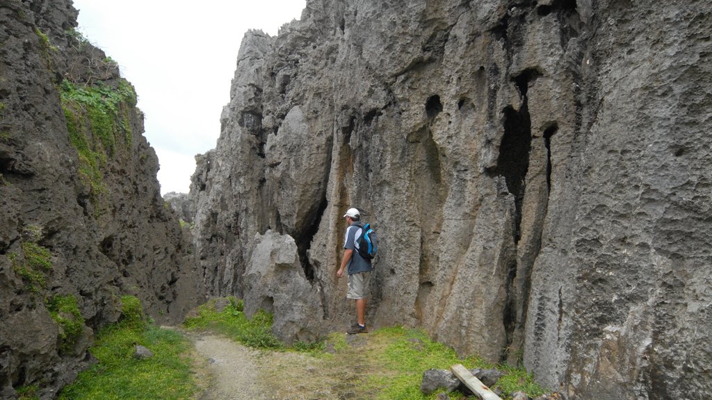 Togo Chasm que incluye una garganta o cañón y caminatas y también un hombre