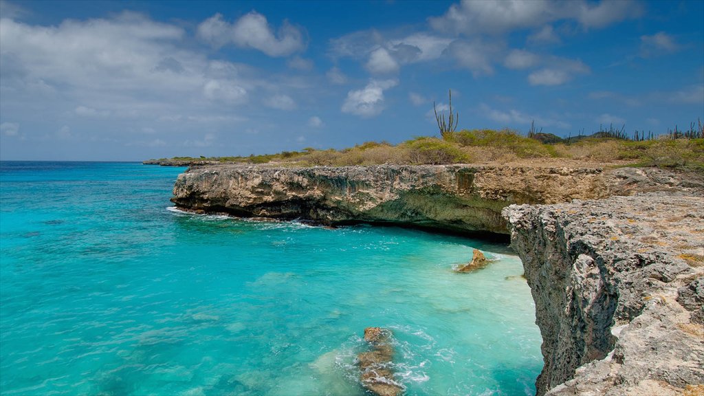 Bonaire que incluye costa rocosa