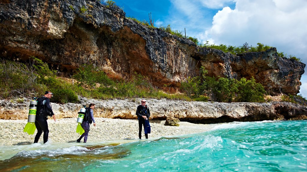 Bonaire que inclui scuba e litoral rochoso assim como um pequeno grupo de pessoas