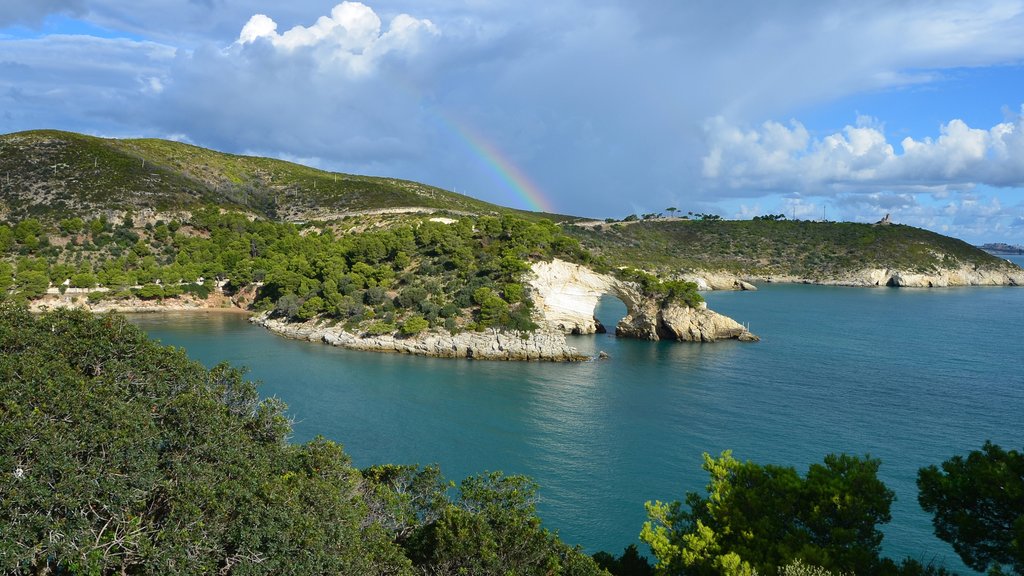 Vieste caratteristiche di vista della costa