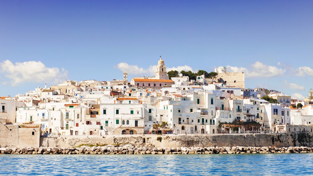 Vieste caracterizando litoral rochoso e uma cidade litorânea