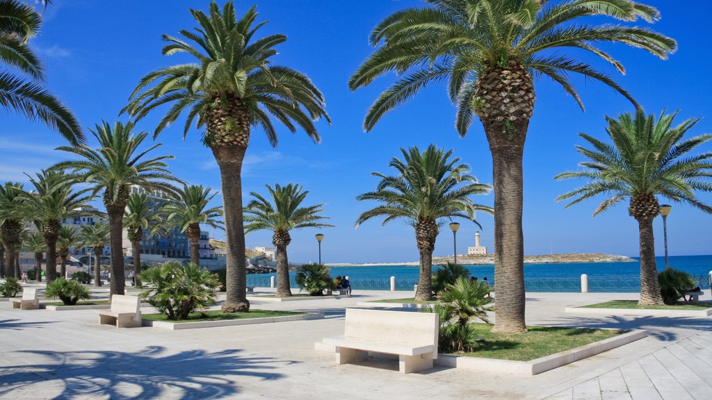 Vieste showing tropical scenes and general coastal views