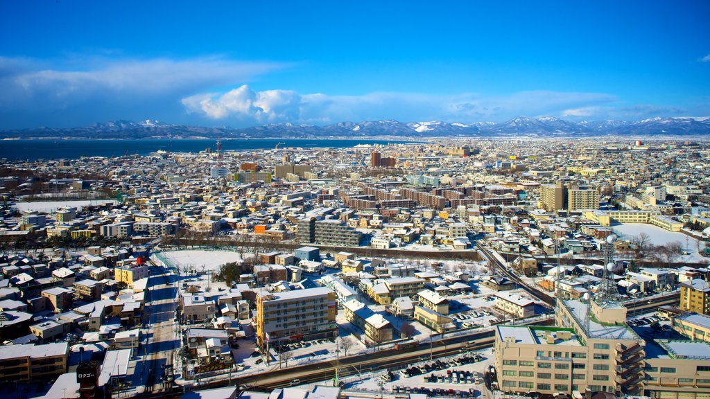 Goryokaku Tower showing landscape views and a city