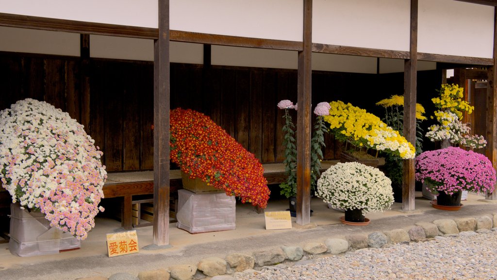 Takayama Jinya caracterizando flores