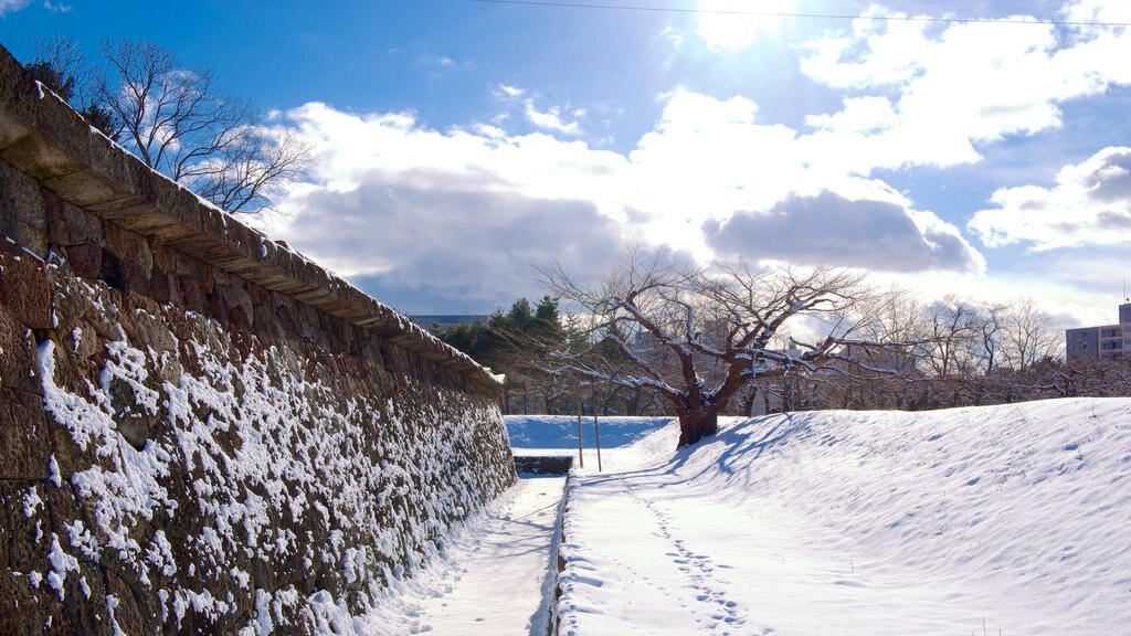 Fort Goryokaku showing snow