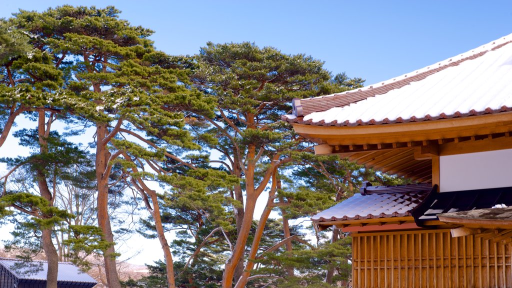 Fort Goryokaku showing snow