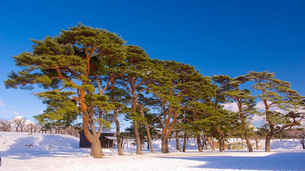 Fort Goryokaku showing snow