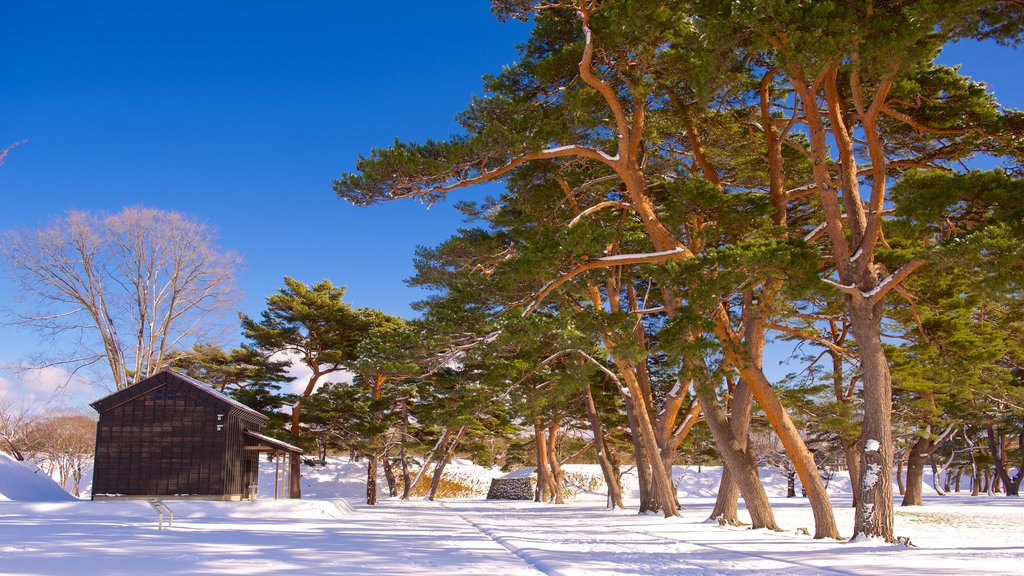 Fort Goryokaku showing snow