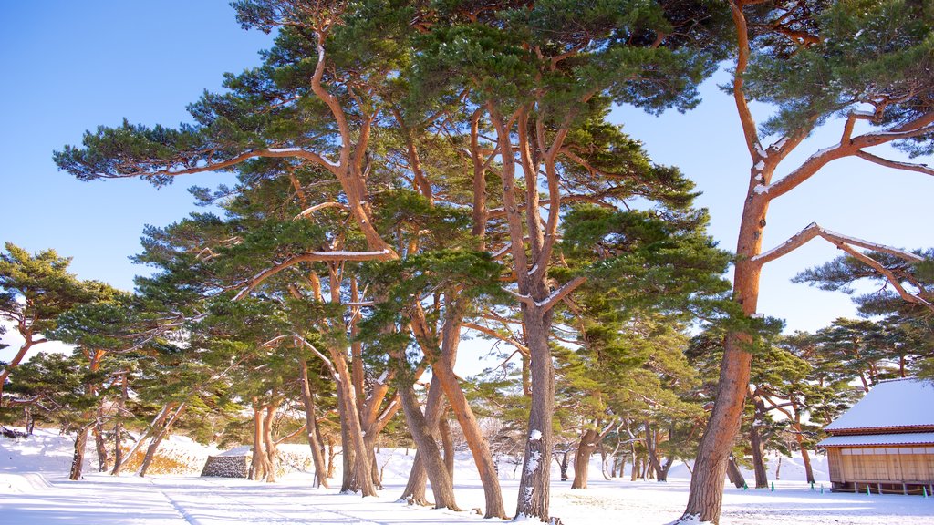 Fort Goryokaku showing snow