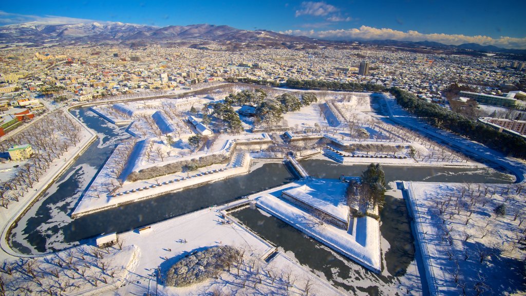 Goryokaku Tower featuring snow and landscape views