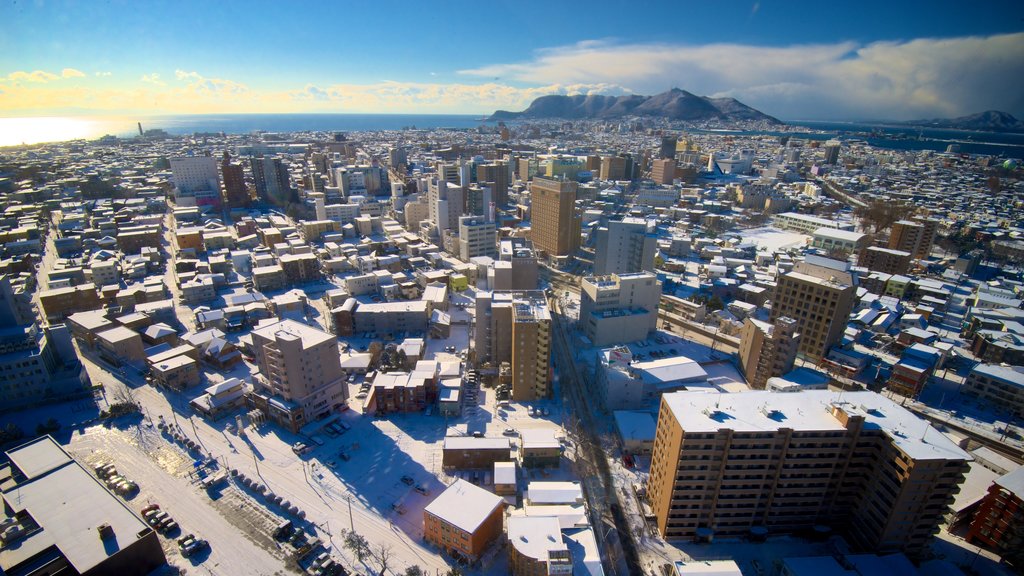 Torre Goryokaku que incluye nieve, una ciudad y vistas de paisajes