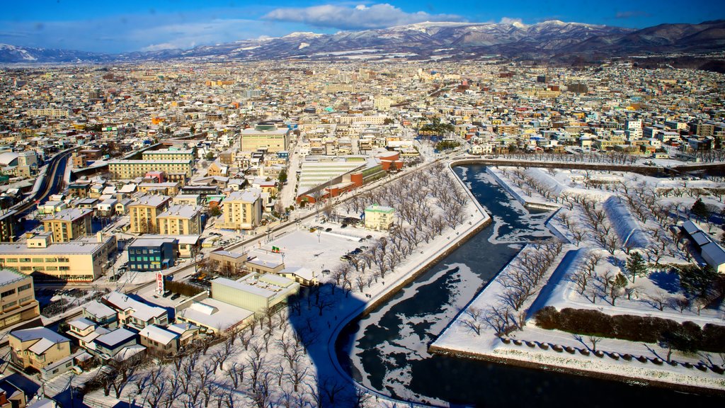 Goryokaku Tower which includes landscape views and snow