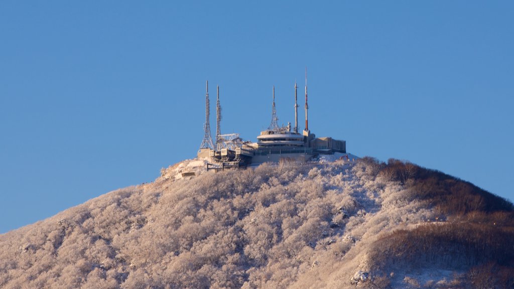 하코다테산 을 보여주는 산