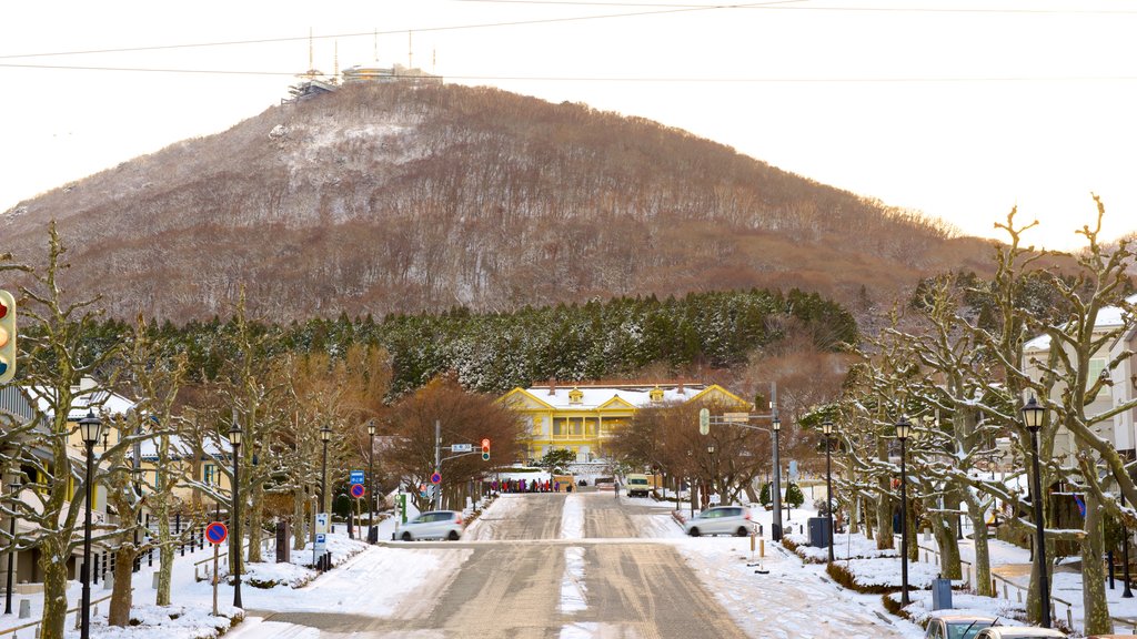 Mount Hakodate which includes mountains, street scenes and snow