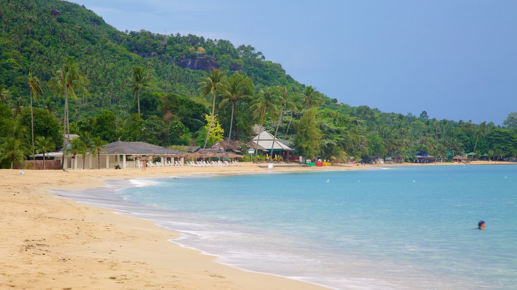 Plage de Lamai montrant baie ou port