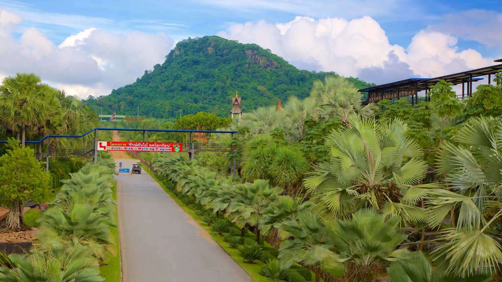 Nong Nooch Tropical Botanical Garden showing a park