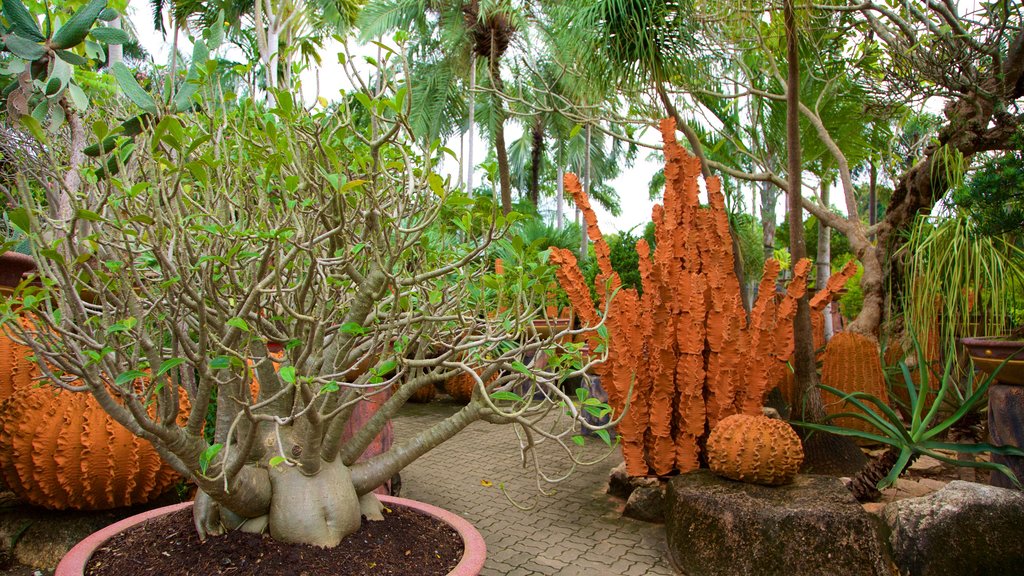 Nong Nooch Tropical Botanical Garden showing a garden