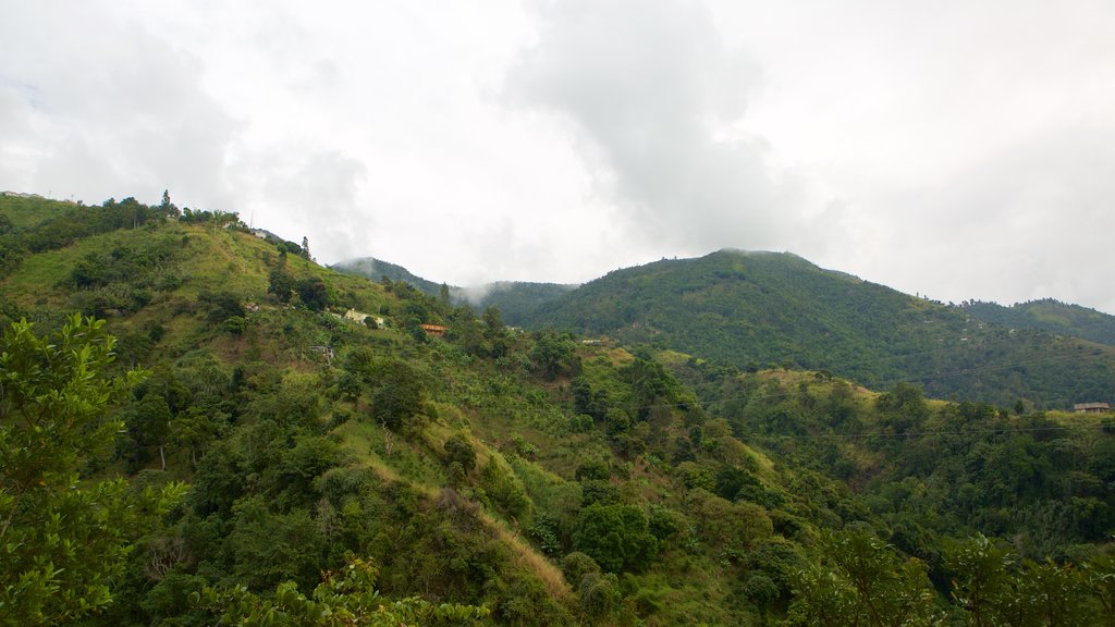 Irish Town featuring mountains