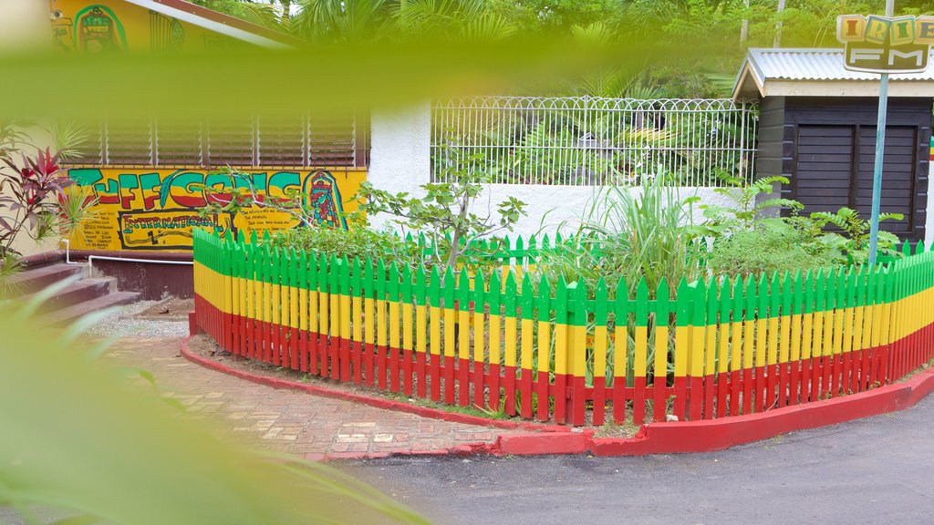 Bob Marley Museum featuring a garden