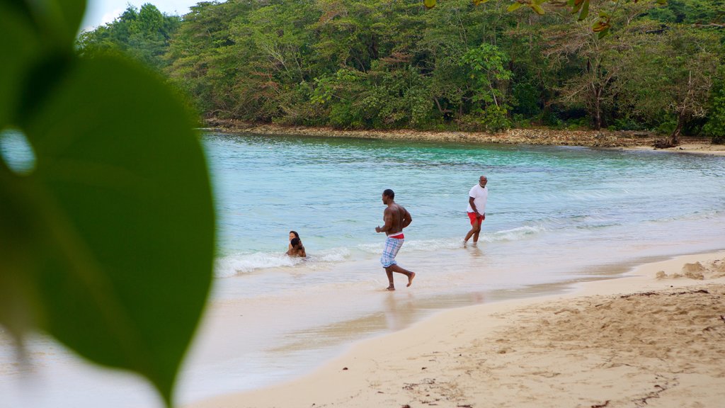 Playa Winnifred que incluye una playa y también un pequeño grupo de personas