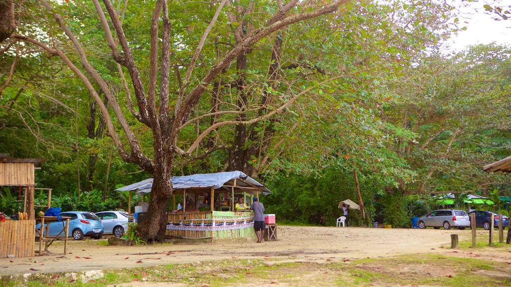 Bãi biển Winnifred