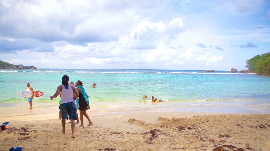 Winnifred Beach showing a beach as well as a large group of people