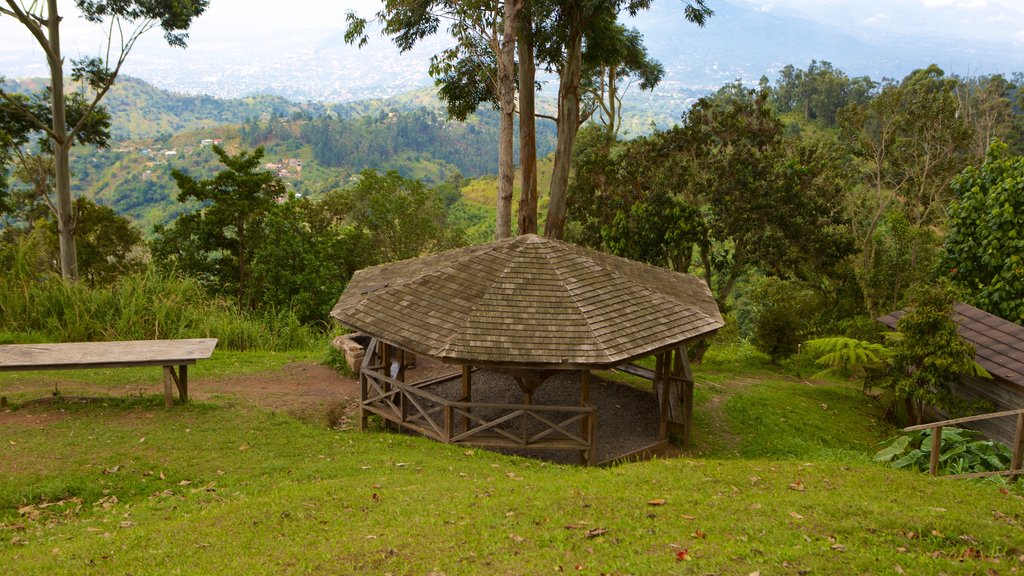 Holywell Park qui includes paysages paisibles