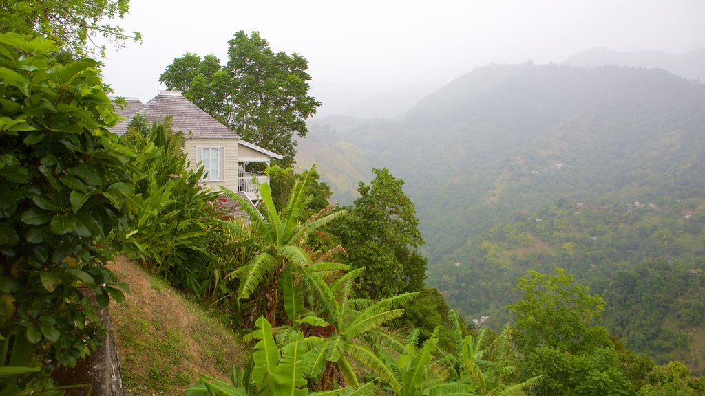 Irish Town showing mist or fog, rainforest and mountains