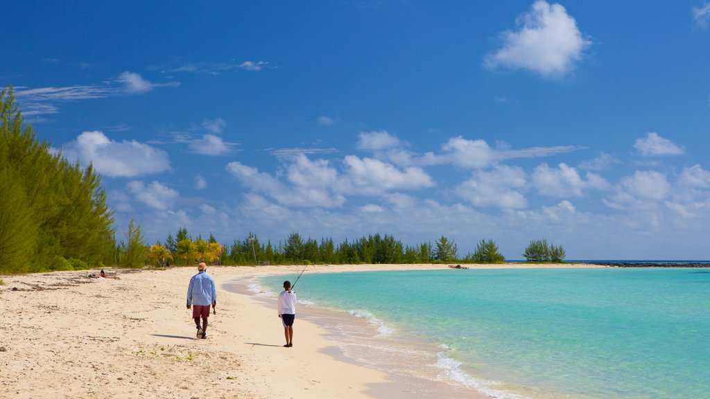 Xanadu Beach which includes a sandy beach and tropical scenes