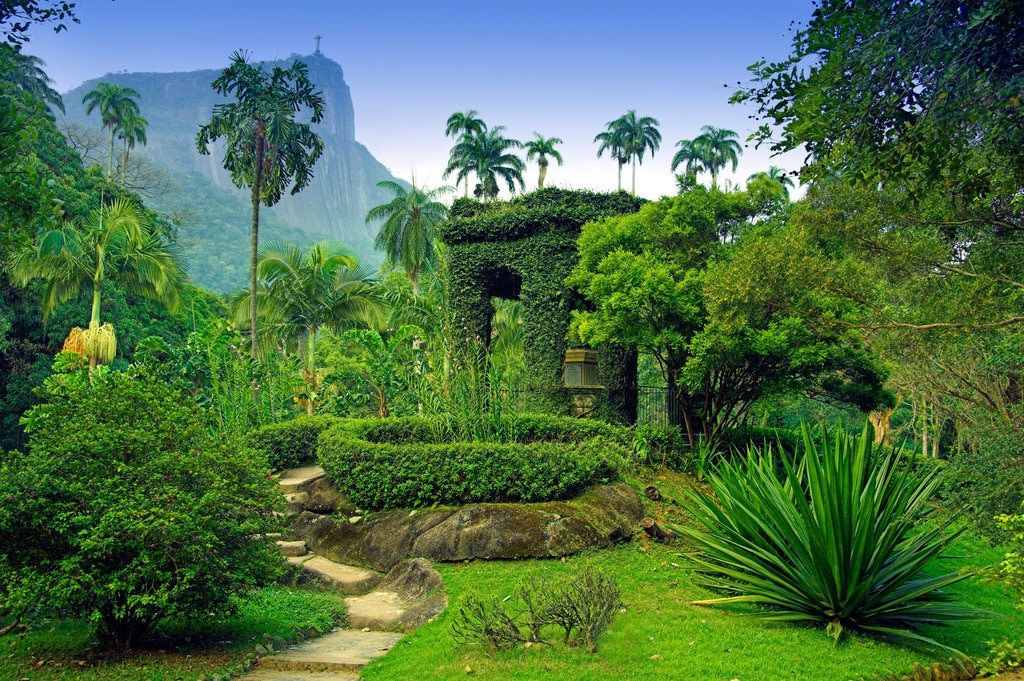 Discover the historic center of Rio and the Lapa district, Brazil