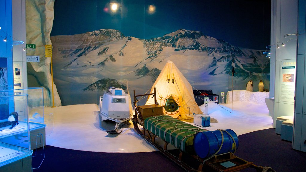 International Antarctic Centre which includes interior views