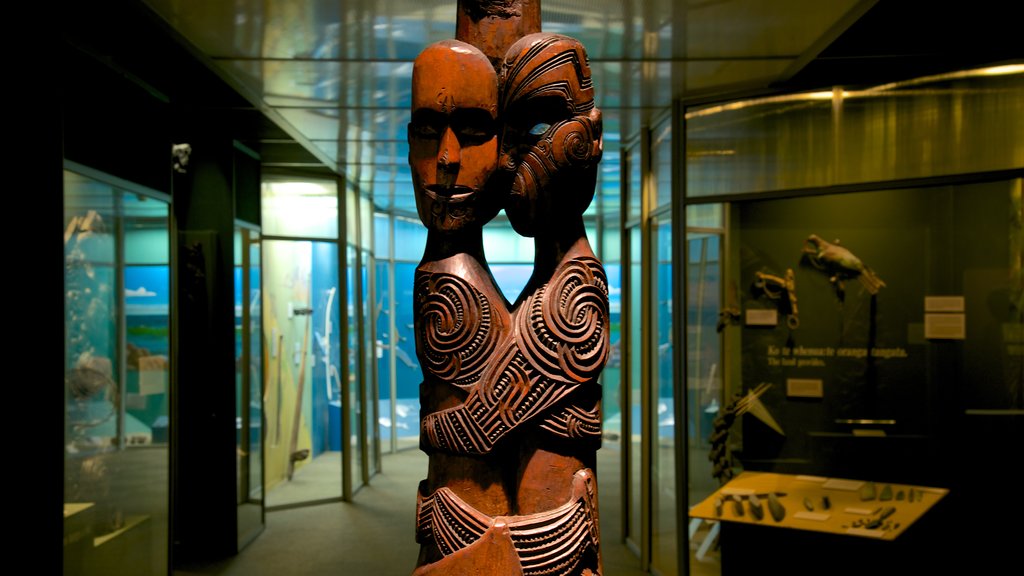 Otago Museum que incluye vistas interiores y una estatua o escultura