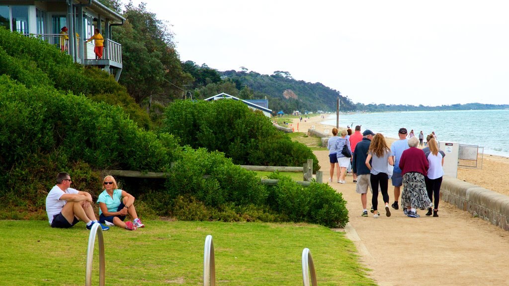 Dromana which includes hiking or walking and general coastal views as well as a large group of people